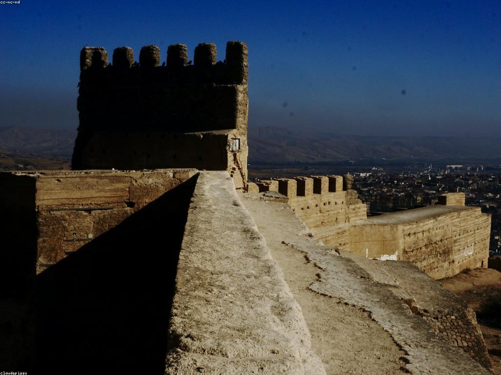 ពិភពរបស់: ការស្វែងយល់ពីជីវិត និងវប្បធម៌