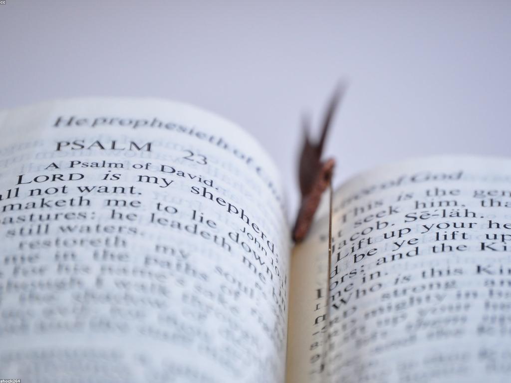 ការយល់ដឹងអំពីពិភពរបស់ និងអ្វីដែលវាស្តិតក្នុងវប្បធម៌