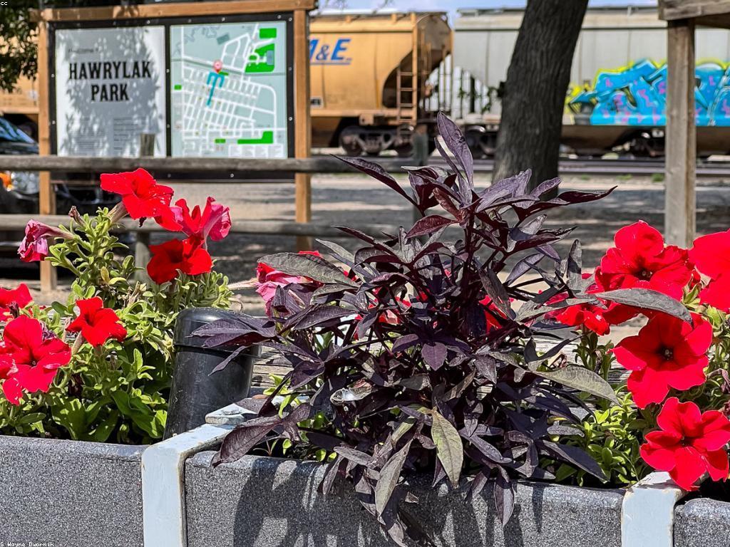 ព្រឹត្តិការណ៍ពិសេសក្នុងវប្បធម៌ខ្មែរ