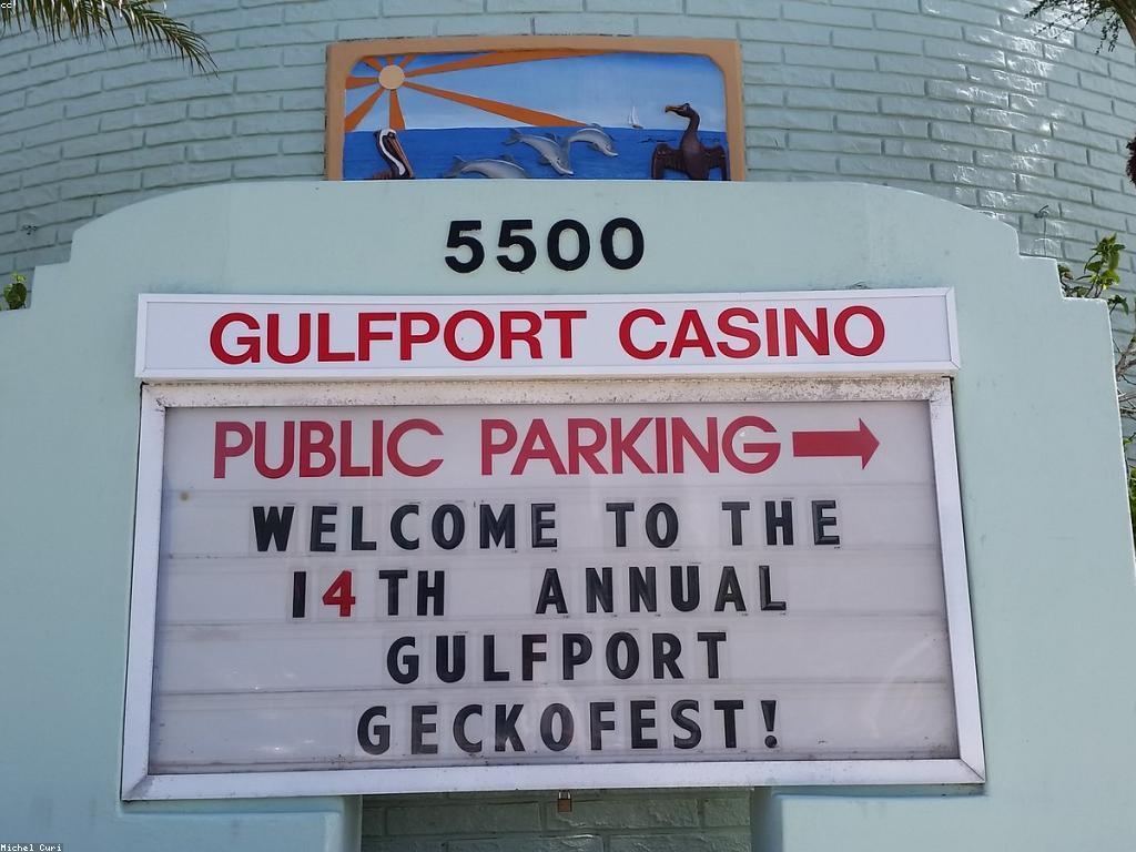 ការផ្សព្វផ្សាយនៅ Slot Fish Casino